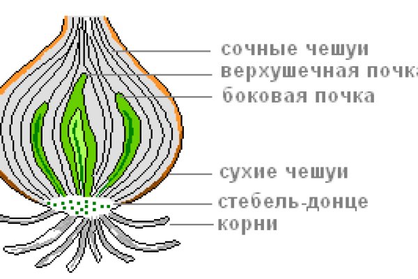 Актуальное зеркало на кракен